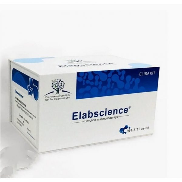 Elabscience ELISA KIT