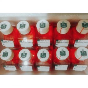 gibco Medium