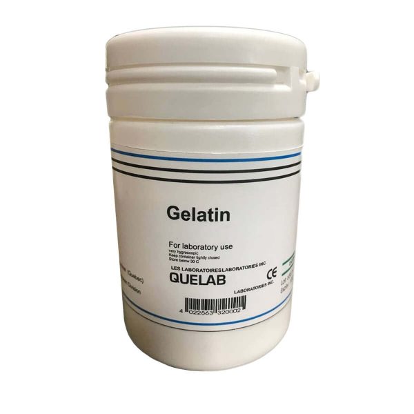 محیط کشت Gelatin