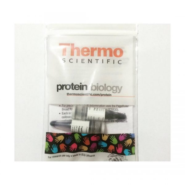 Thermo Protein biology